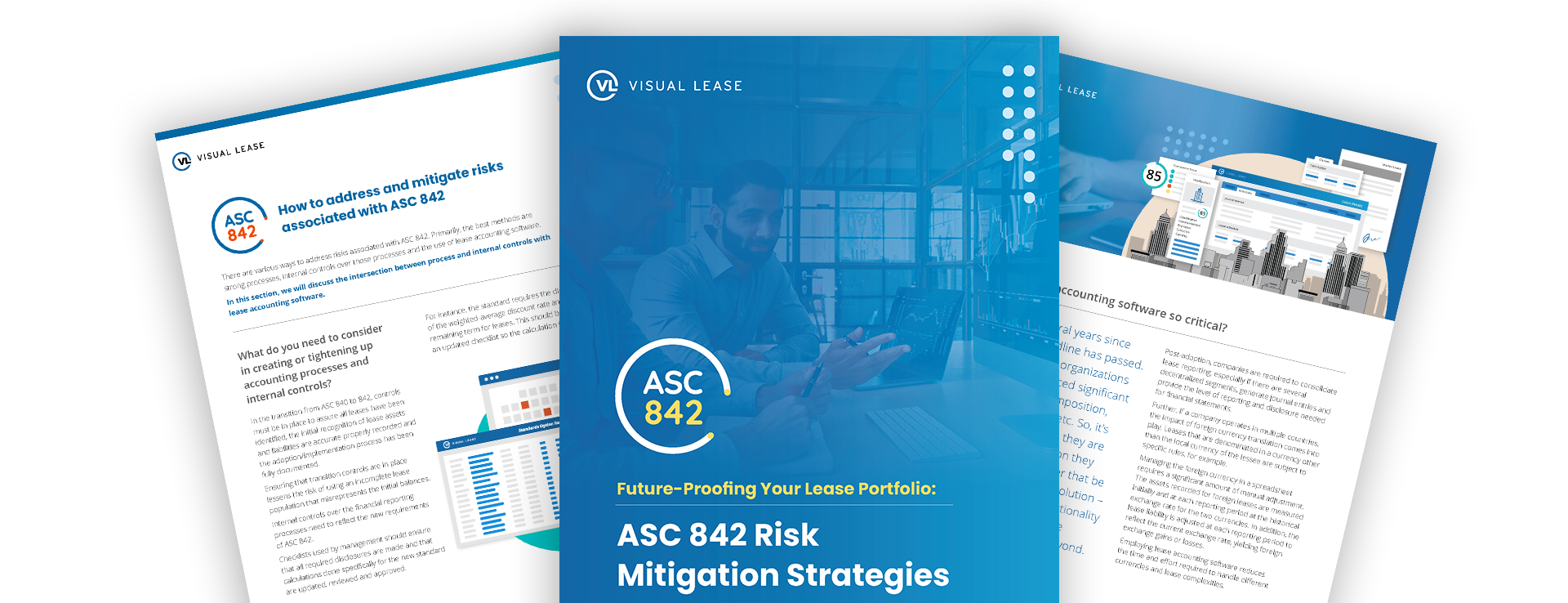 ASC842-Risks-ebook-bottom-image